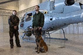 Immersion day on the implementation of National Service within the Air and Space Force - Orange