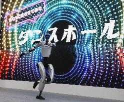 Robot exhibition in Tokyo