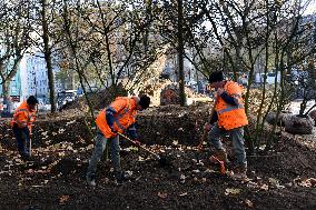 The New Season Of Tree Planting - Paris
