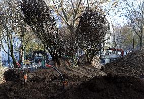 The New Season Of Tree Planting - Paris