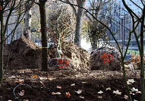 The New Season Of Tree Planting - Paris