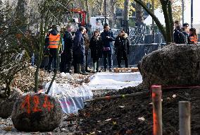 The New Season Of Tree Planting - Paris