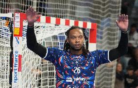 Handball French Championship - Rennes v Limoges