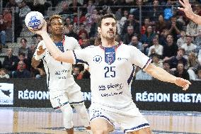 Handball French Championship - Rennes v Limoges