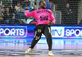 Handball French Championship - Rennes v Limoges
