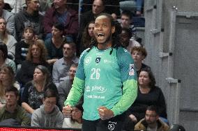 Handball French Championship - Rennes v Limoges