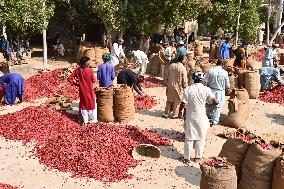 Dried Red Chilies - Pakistan