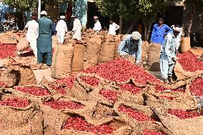 Dried Red Chilies - Pakistan