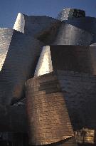 Illustration - Guggenheim Museum - Spain