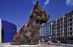 Illustration - Guggenheim Museum - Spain