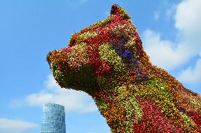 Illustration - Guggenheim Museum - Spain