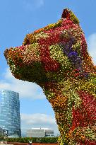 Illustration - Guggenheim Museum - Spain