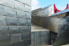 Illustration - Guggenheim Museum - Spain