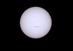 Sunspot Cluster on the Sun - Venice
