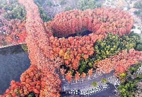 Winter Scenery - China