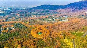 Winter Scenery - China