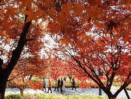 Winter Scenery - China