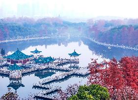 Winter Scenery - China