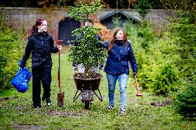 Christmas Tree Sales - Netherlands