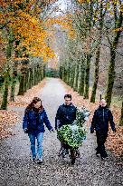 Christmas Tree Sales - Netherlands