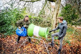 Christmas Tree Sales - Netherlands