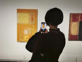 Foundation Louis Vuitton - Paris