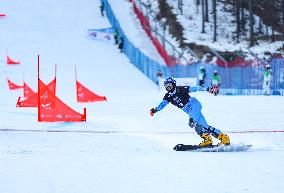 FIS Snowboard Alpine World Cup - Beijing