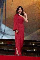 22nd Marrakech International Film Festival Day 9 nb