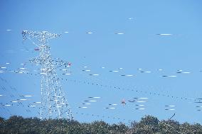 Ultra High Voltage Engineering Construction