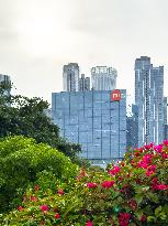 Xiaomi International Headquarters
