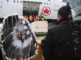 Indigenous Artifacts and Cultural Objects Returned by The Vatican - Montreal