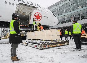 Indigenous Artifacts and Cultural Objects Returned by The Vatican - Montreal