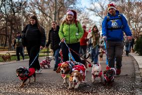 Santa Dog Walk - Budapest