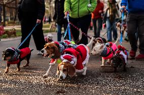 Santa Dog Walk - Budapest