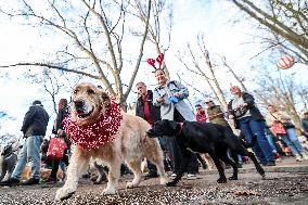 Santa Dog Walk - Budapest