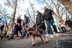 Santa Dog Walk - Budapest