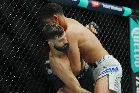 UFC 323 - Dvalishvili vs Yan 2