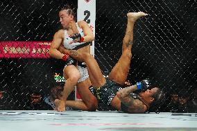 UFC 323 - Dvalishvili vs Yan 2