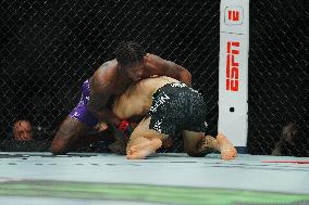 UFC 323 - Dvalishvili vs Yan 2