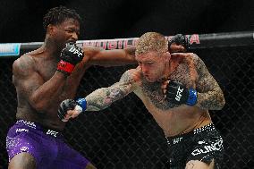 UFC 323 - Dvalishvili vs Yan 2