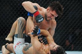 UFC 323 - Dvalishvili vs Yan 2