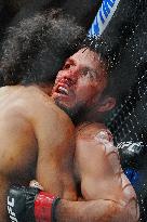 UFC 323 - Dvalishvili vs Yan 2