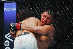 UFC 323 - Dvalishvili vs Yan 2