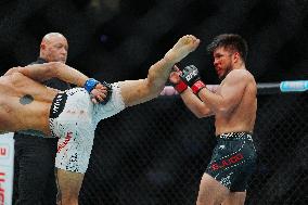 UFC 323 - Dvalishvili vs Yan 2