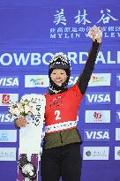 Snowboard: World Cup