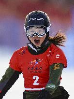 Snowboard: World Cup