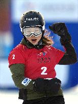 Snowboard: World Cup