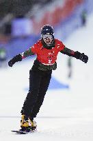 Snowboard: World Cup