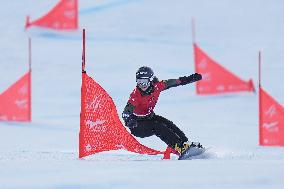 Snowboard: World Cup