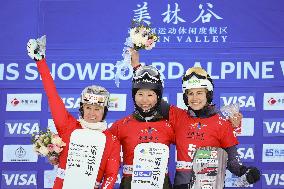 Snowboard: World Cup